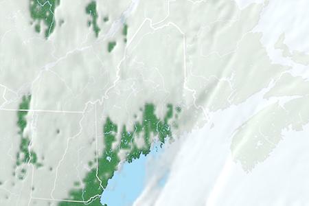 Satelliitti Satelliitti