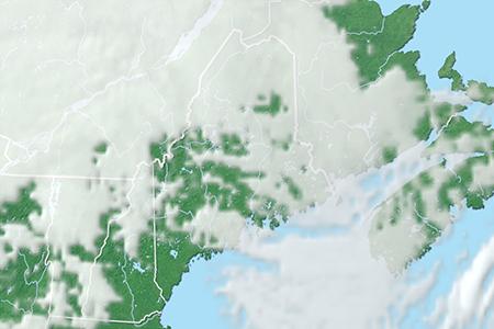 Satelliitti Satelliitti