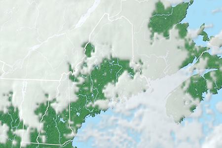 Satelliitti Satelliitti