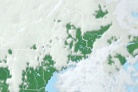 Satelliitti Satelliitti