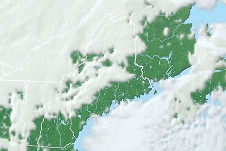 Satelliitti Satelliitti