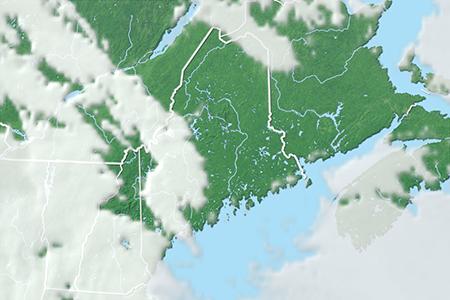 Satelliitti Satelliitti