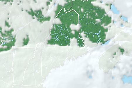 Satelliitti Satelliitti