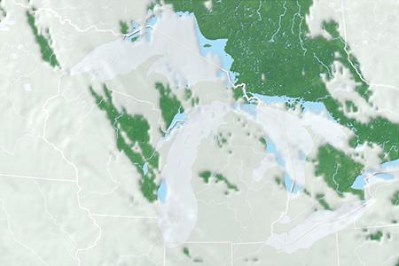 Satelliitti Satelliitti