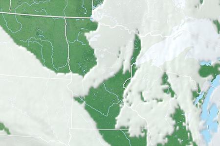 Satelliitti Satelliitti