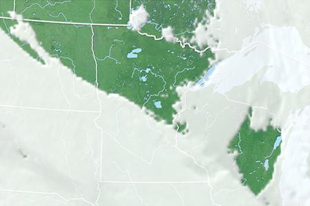 Satelliitti Satelliitti