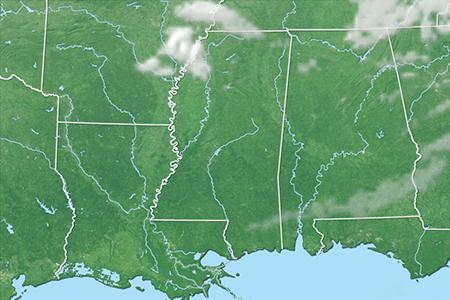 Satelliitti Satelliitti