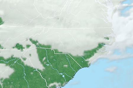 Satelliitti Satelliitti