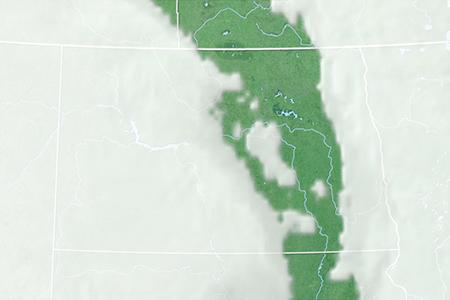 Satelliitti Satelliitti