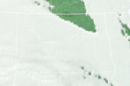 Satelliitti Satelliitti