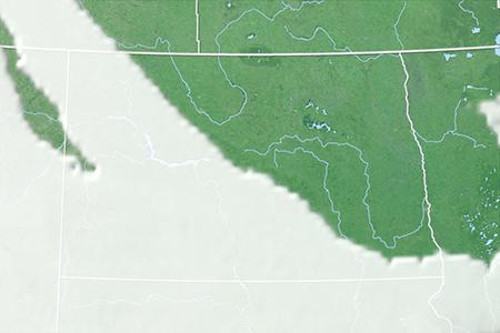 Satelliitti Satelliitti