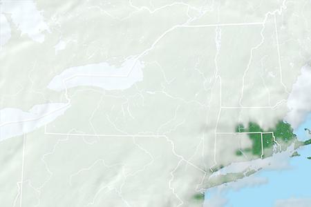 Satelliitti Satelliitti