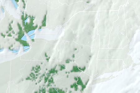 Satelliitti Satelliitti