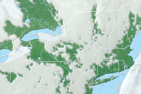 Satelliitti Satelliitti