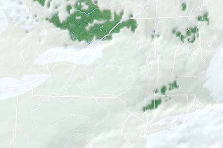 Satelliitti Satelliitti