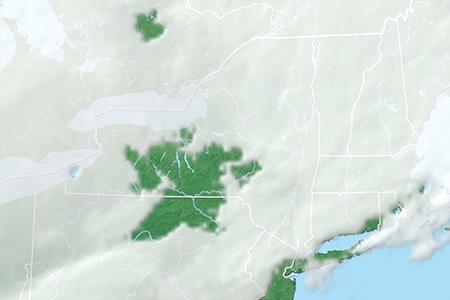 Satelliitti Satelliitti