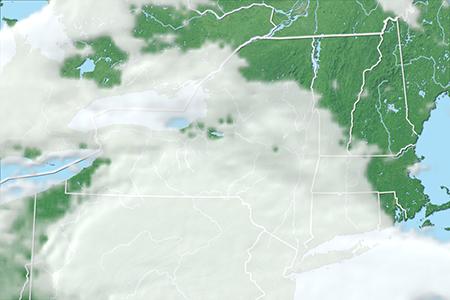 Satelliitti Satelliitti