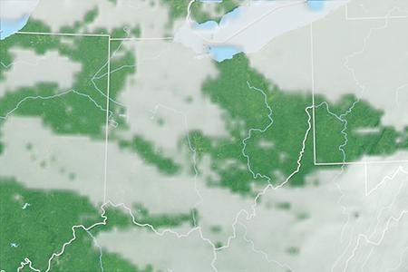 Satelliitti Satelliitti