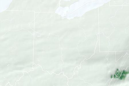 Satelliitti Satelliitti