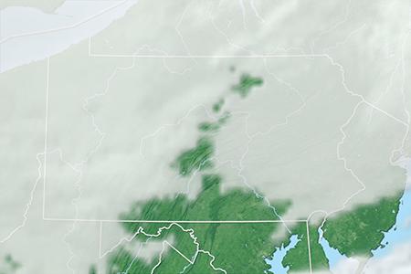 Satelliitti Satelliitti