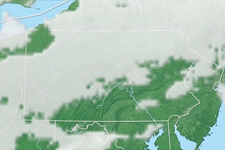 Satelliitti Satelliitti