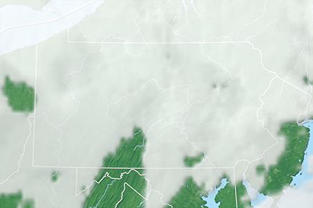 Satelliitti Satelliitti
