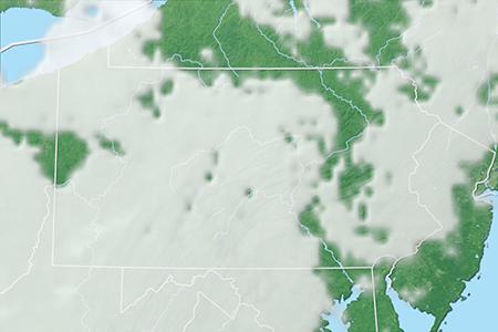 Satelliitti Satelliitti