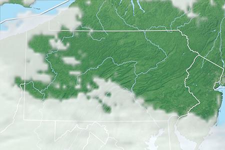 Satelliitti Satelliitti
