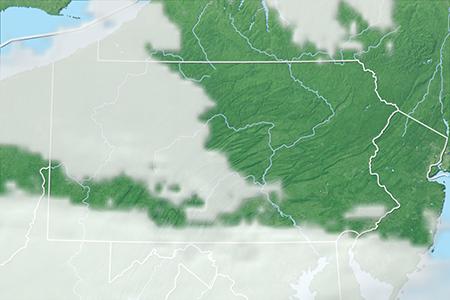 Satelliitti Satelliitti