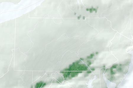 Satelliitti Satelliitti