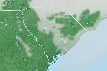 Satelliitti Satelliitti