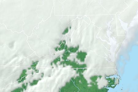 Satelliitti Satelliitti