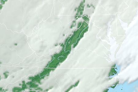 Satelliitti Satelliitti