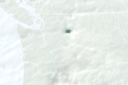 Satelliitti Satelliitti