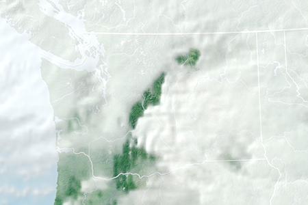Satelliitti Satelliitti