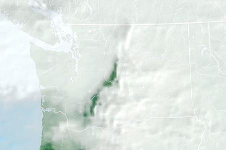 Satelliitti Satelliitti