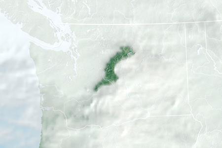 Satelliitti Satelliitti