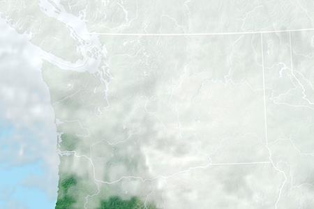 Satelliitti Satelliitti