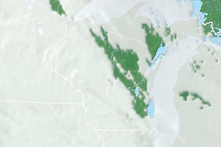 Satelliitti Satelliitti