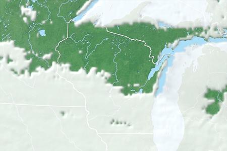 Satelliitti Satelliitti