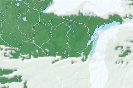 Satelliitti Satelliitti