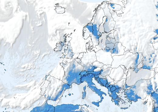 Satelliitti Satelliitti