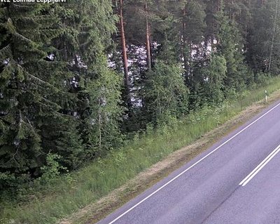 Tie 2 Loimaa, Leppijärvi