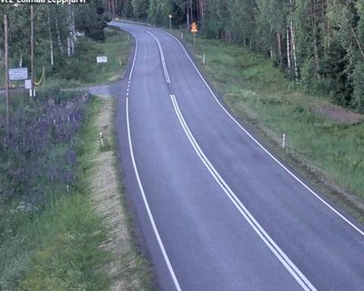 Tie 2 Loimaa, Leppijärvi