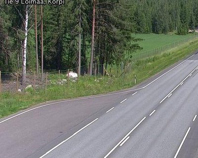 Tie 9 Loimaa, Korpi
