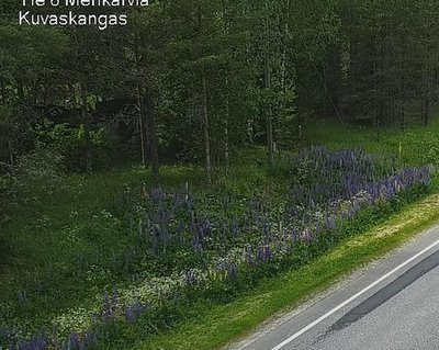 Tie 8 Merikarvia, Kuvaskangas