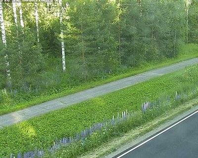 Tie 72 Haukivuori