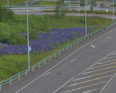 Tie 7 Hamina, Ruissalo