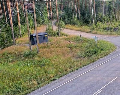 Tie 5 Joroinen, Puunkolo