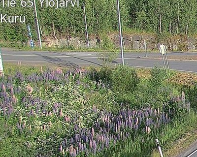 Tie 65 Ylöjärvi, Kuru